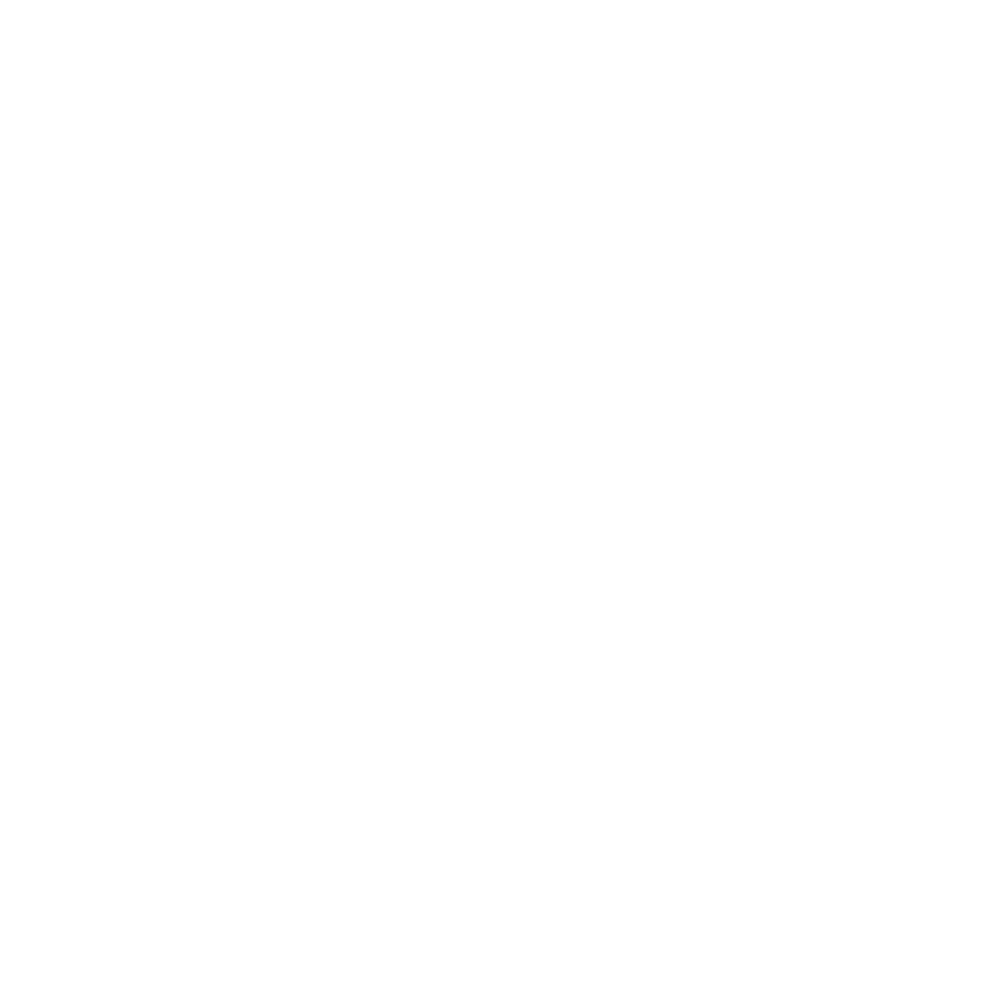 Nazeerah logo
