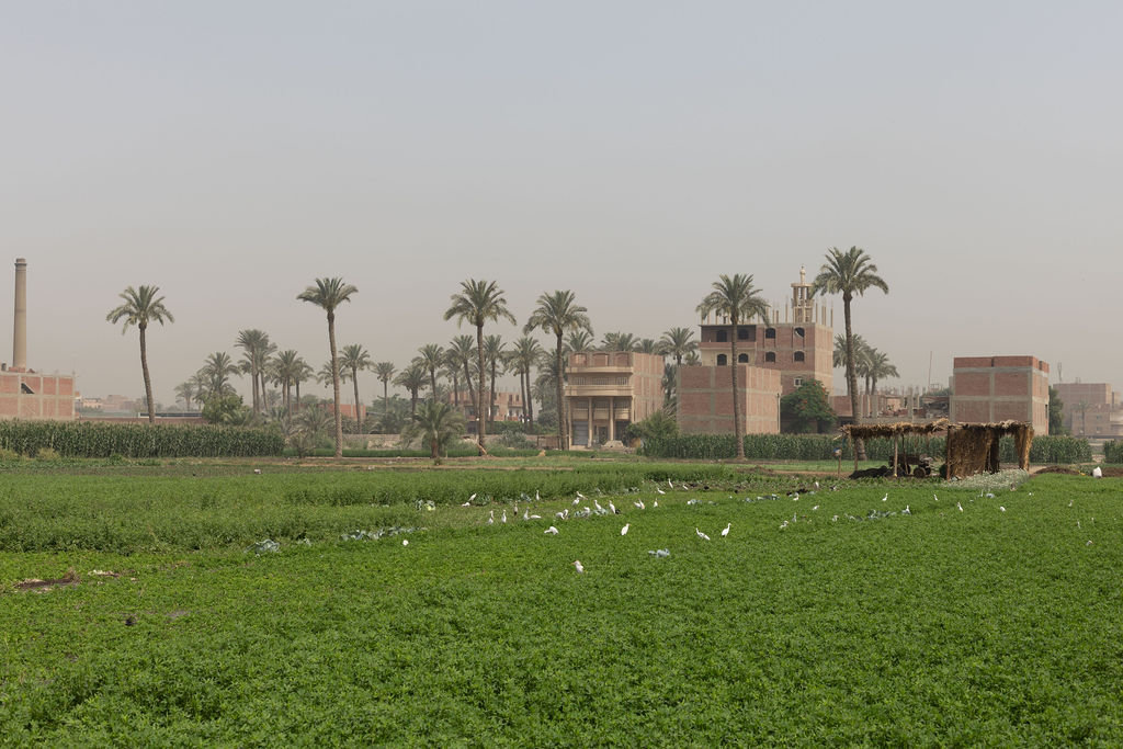 Egypt landscape